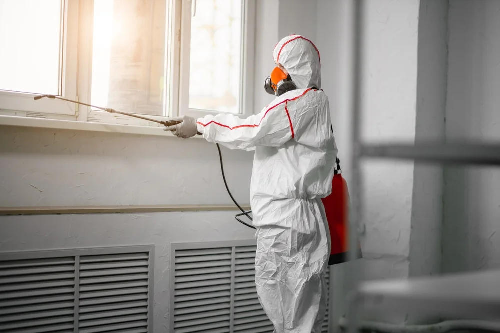 Professional mold remediation services in Wheeling, IL